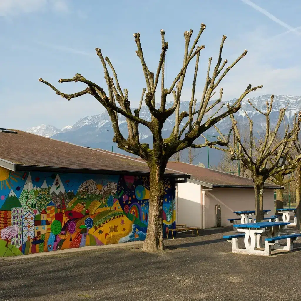 Recteur d’école avec arbre sans feuilles près d’un mur coloré et des tables de pique-nique bleues en extérieur.